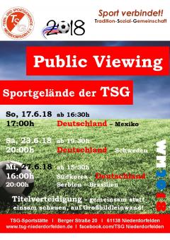 WM 2018: Public Viewing bei der TSG